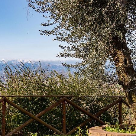 La Merlana Affittacamere Morrovalle المظهر الخارجي الصورة