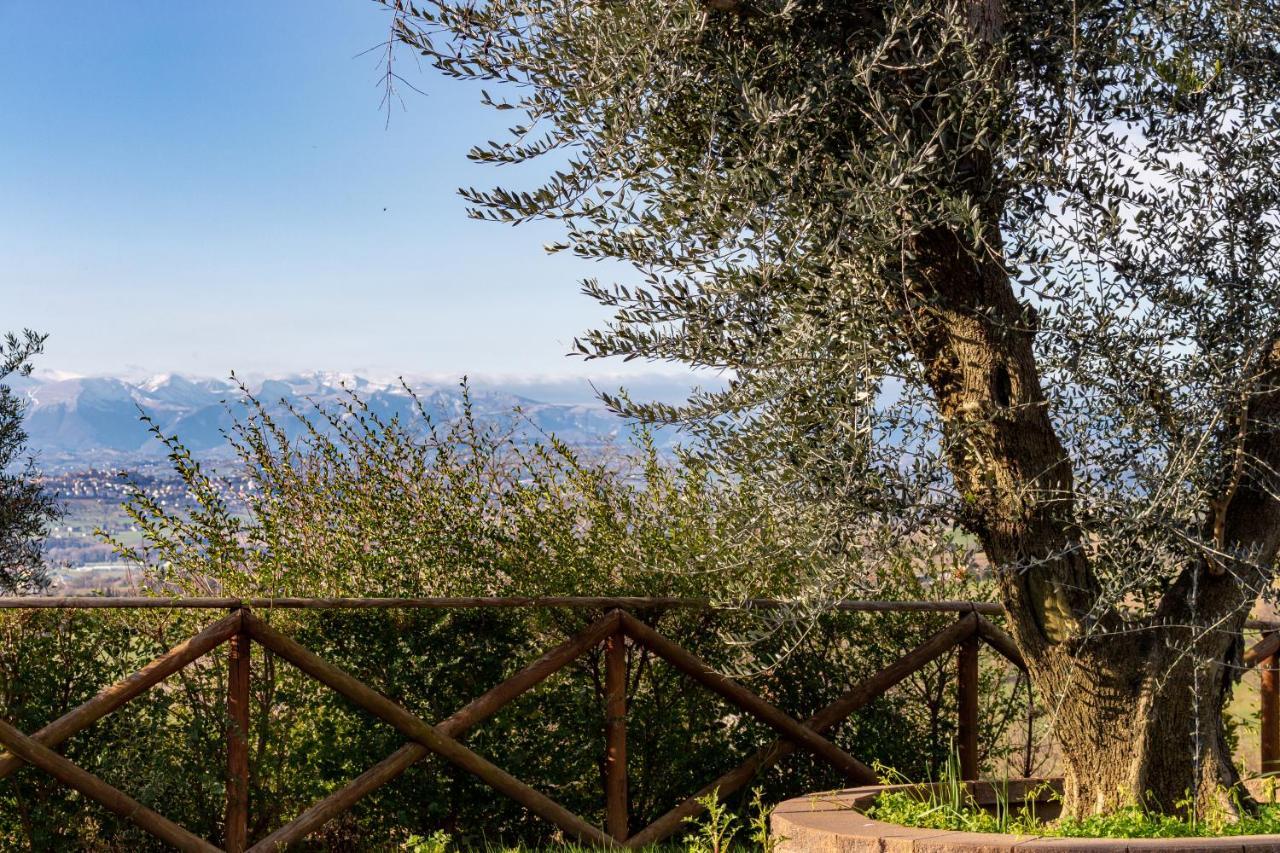 La Merlana Affittacamere Morrovalle المظهر الخارجي الصورة